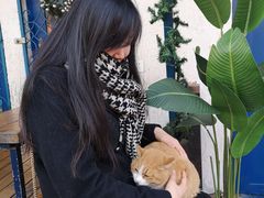 -Sirena海妖日咖夜酒