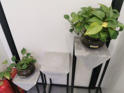 -痘博士天津·全国连锁祛痘机构