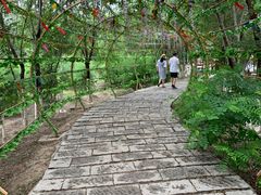 -西青郊野公园