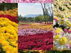 -国家植物园