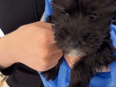 -美联众合动物医院·24h京西诊疗中心