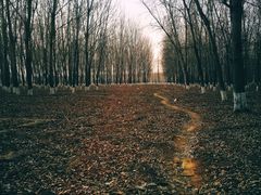 -东郊湿地公园
