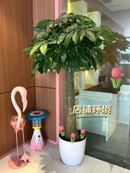 -深圳艺星医疗美容医院