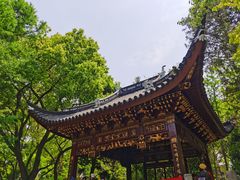 -汇龙潭