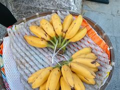 -青澳湾北回归线广场