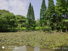 -范蠡湖公园