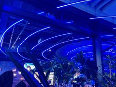 -bluefrog蓝蛙(皇庭广场店)