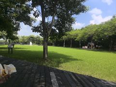 -海珠湖公园
