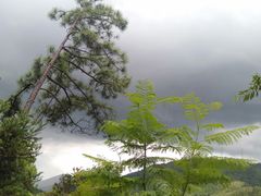 -田心森林公园