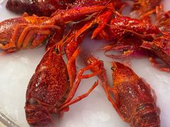 -红盔甲·小龙虾(车公庙店)