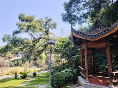 -金鸡山公园