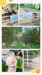 -优沃得自然教育农场·冰雪乐园·生日会·研学