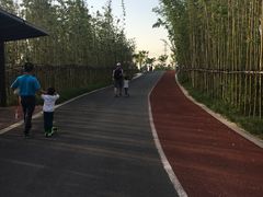 -上海长兴岛郊野公园