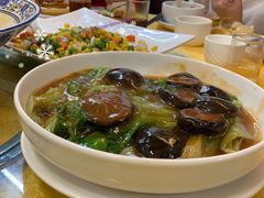 -鸽王世家(东华东路店)