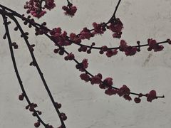 -韩礼年糕(飞虹路店)