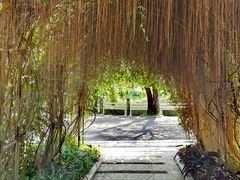 -人民公园(罗湖区)