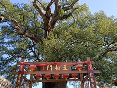 -新安江山水画廊风景区