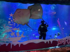 -沈阳海洋探索中心