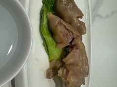 -丁老爷子苏香圆