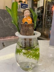 -菲·木田moontin造型salon