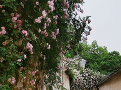 -惠山古镇·寄畅园