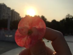 -珠海圆明新园