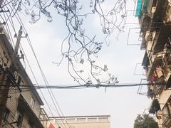 -二楼南书房