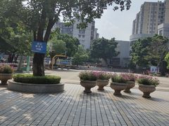 -矿泉游泳场
