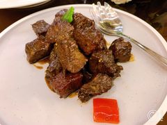 -诺莱仕游艇会