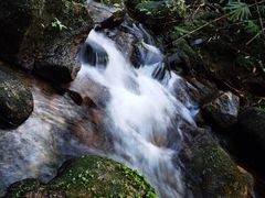 -海南热带雨林国家公园吊罗山景区