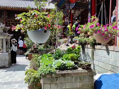 -寂照庵