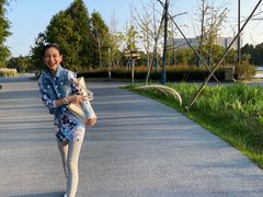 -春花秋色城市公园