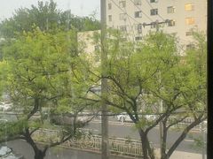 -老广酒楼(樱花店)