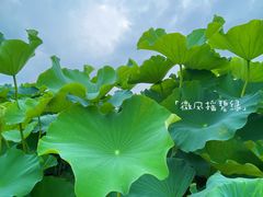-嘉北郊野公园