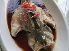-郭林家常菜烤鸭(曙光西路店)