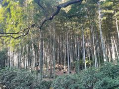 -杭州黄龙洞