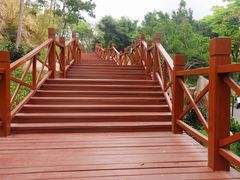 -深圳国际园林花卉博览园