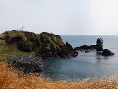 -涉地可支
