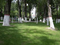 -西宁市人民公园(城西区)