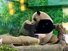 -灵玲国际马戏城