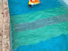 -杭州浪浪浪水公园