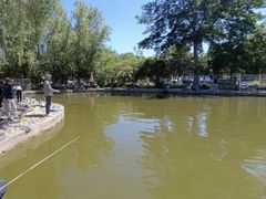 -酷鱼垂钓CLUB(朝阳区博大路店 )