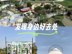 -金卉庄园