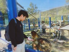 -大连森林动物园