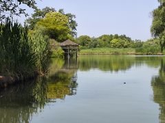 -西溪国家湿地公园