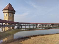 -九龙湖公园