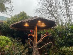 -上海野生动物园老虎餐厅