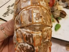 -宾朋海鲜饭庄(兴海路店)