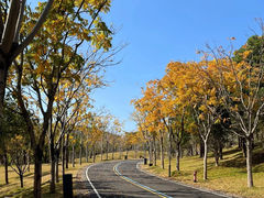 -牛岗山公园
