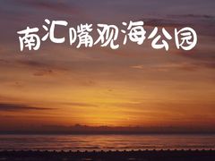 -南汇嘴观海公园